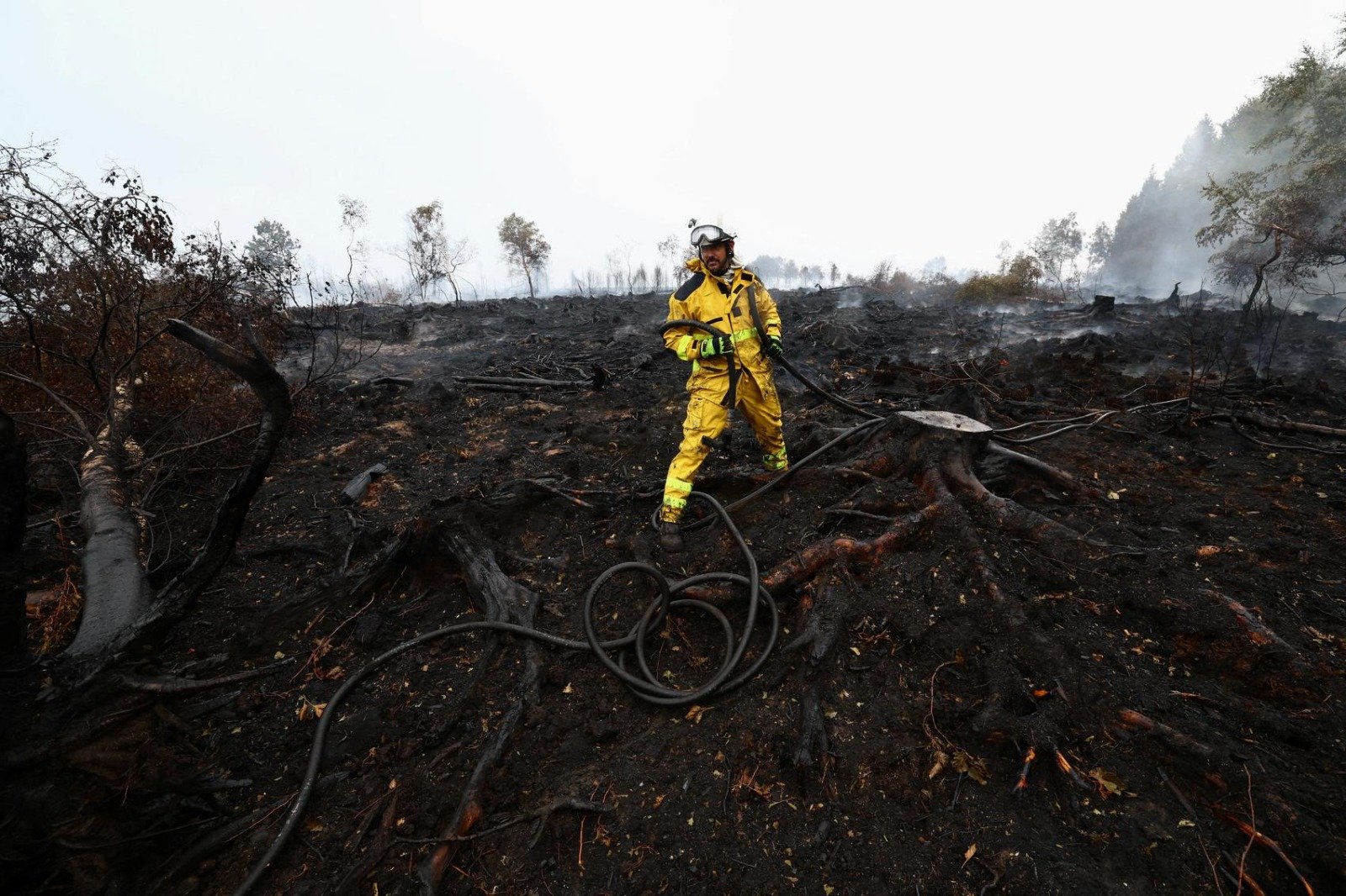 Rain Helps Contain Belgium's Largest Wildfire