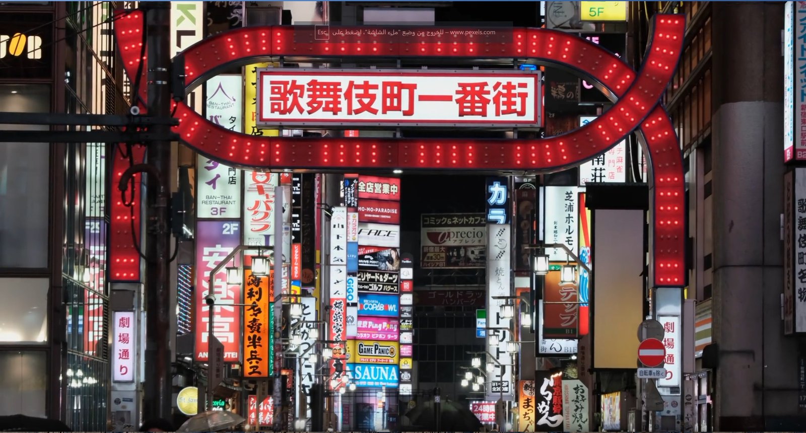 A Night Walk Through Shinjuku